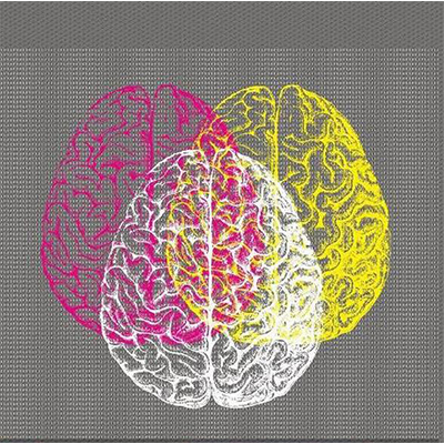 نهمین اتاق روشن - دزد چون با چراغ آید