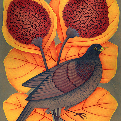 گل و مرغهای تازه - مریم لامعی